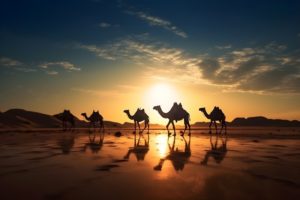 シルクロードのイメージ